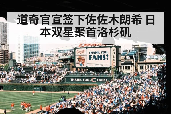 baseball fans